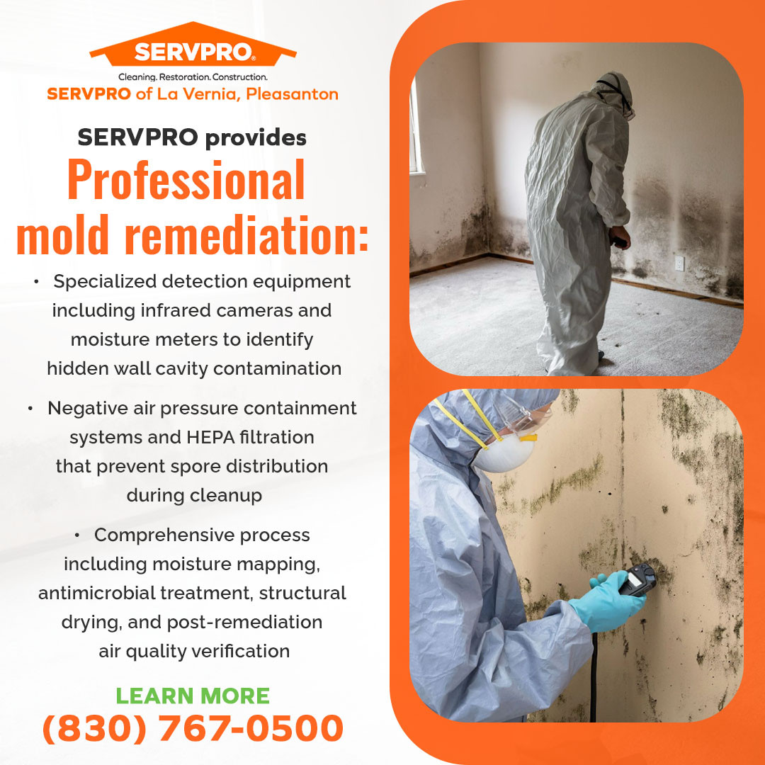 Professional mold remediation