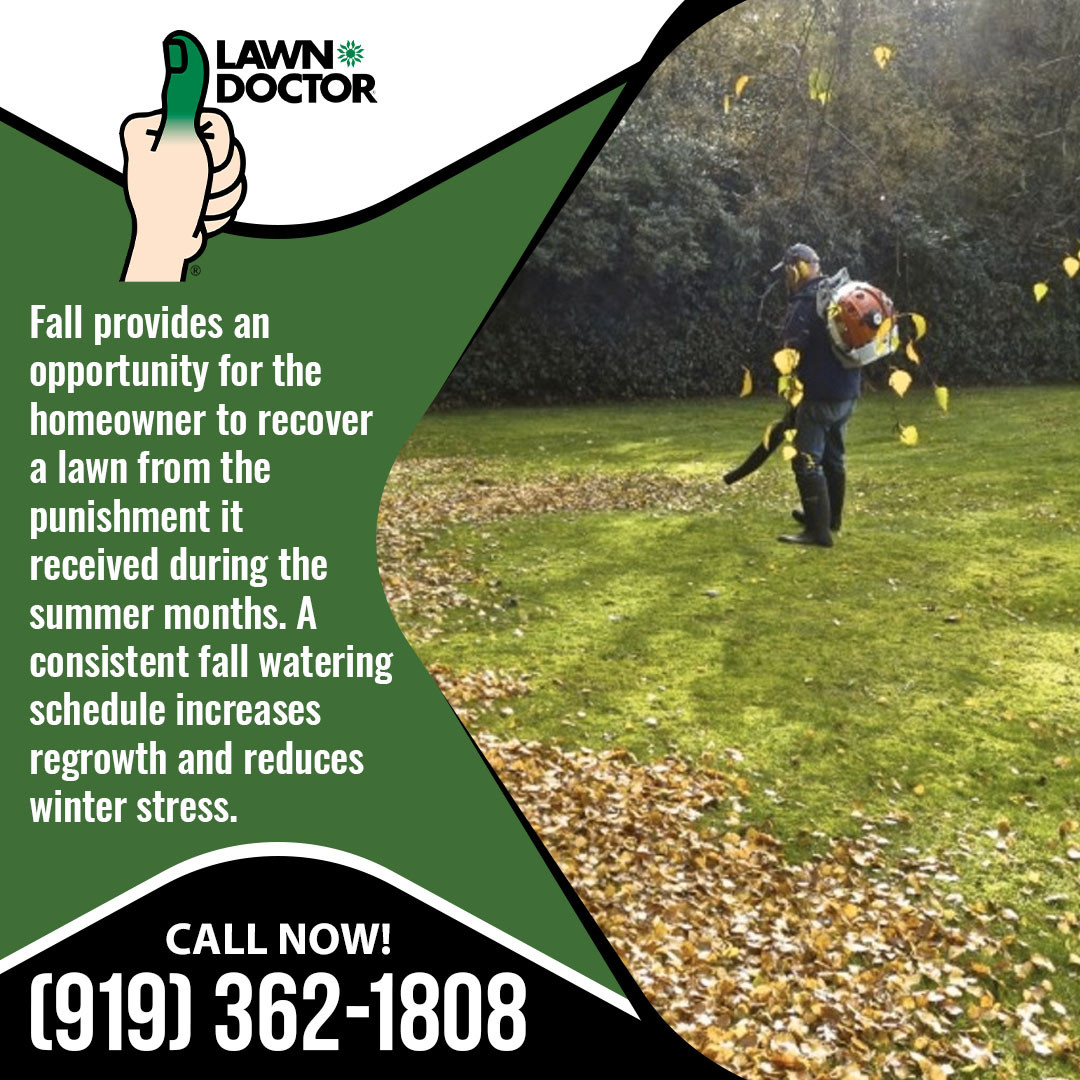 Lawn Doctor of CaryApex Lawn Treatment Company Shares Guidelines to