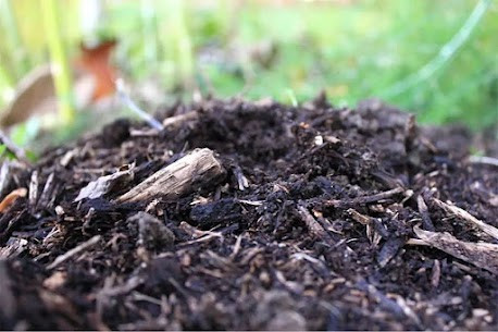What’s the Best Winter Soil Prep for Shrub Cold Resistance with Lawn Care Services in McKinney, TX.jpg
