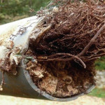 callforsewerlinerepair.jpg