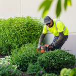 Landscaping.jpg