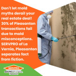 servpro-mold-misconceptions-real-estate.jpg