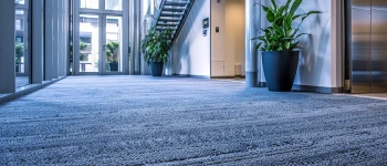 carpet