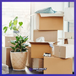 Pro-Pack-Movers-denver-moving-companies-near-me-SMPost-07.jpg