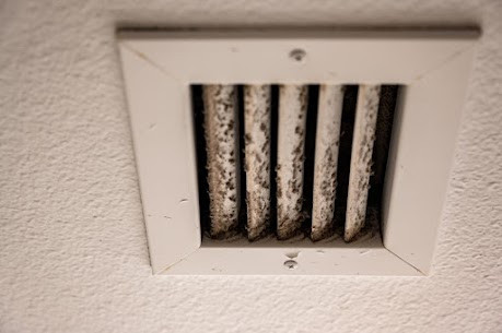 mold in air duct