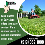 Lawn Doctor 1.jpg