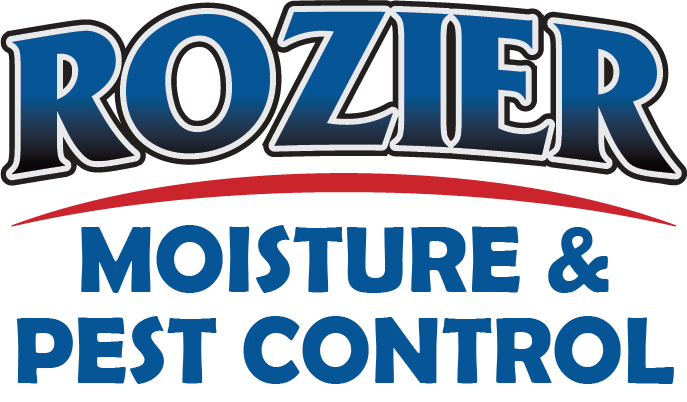 Reliable Pest Control Services in South Hill, VA for Your Home