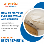 Austin Fire and Flood 3.png