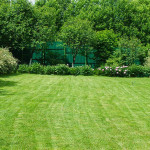 transform-your-yard-the-ultimate-guide-to-greenwood-tx-lawn-care-ezgif.com-webp-to-jpg-converter.jpg