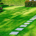 affordable-lawn-care-solutions-in-canton-ga-expert-tips-and-services-1-6620d334c1afa-ezgif.com-webp-to-jpg-converter.jpg