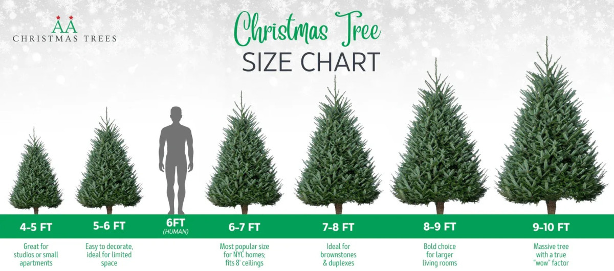 Premium Fraser Fir Christmas Trees Delivered Across NYC