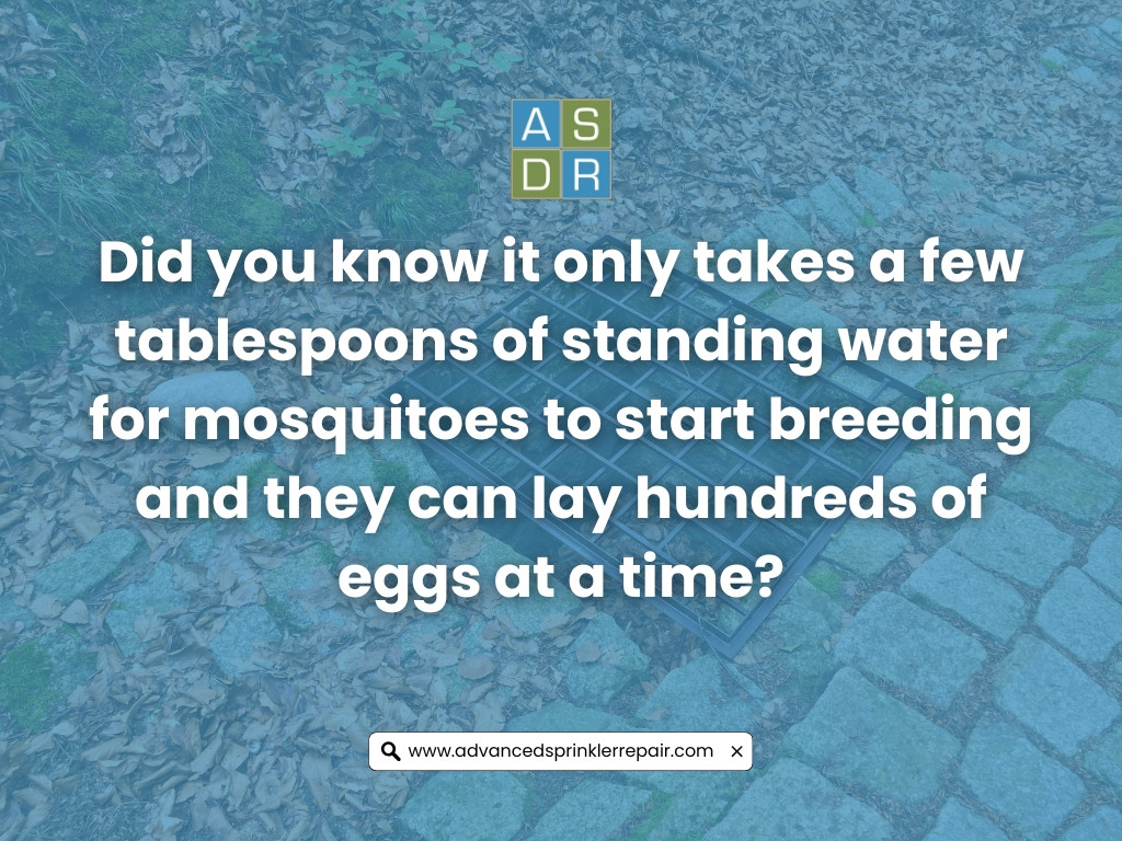 Expert Tips for Maintaining Reliable Yard Drainage Systems