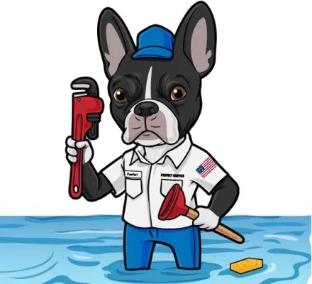 The Perfect Service Plumbing & Drain Cleaning