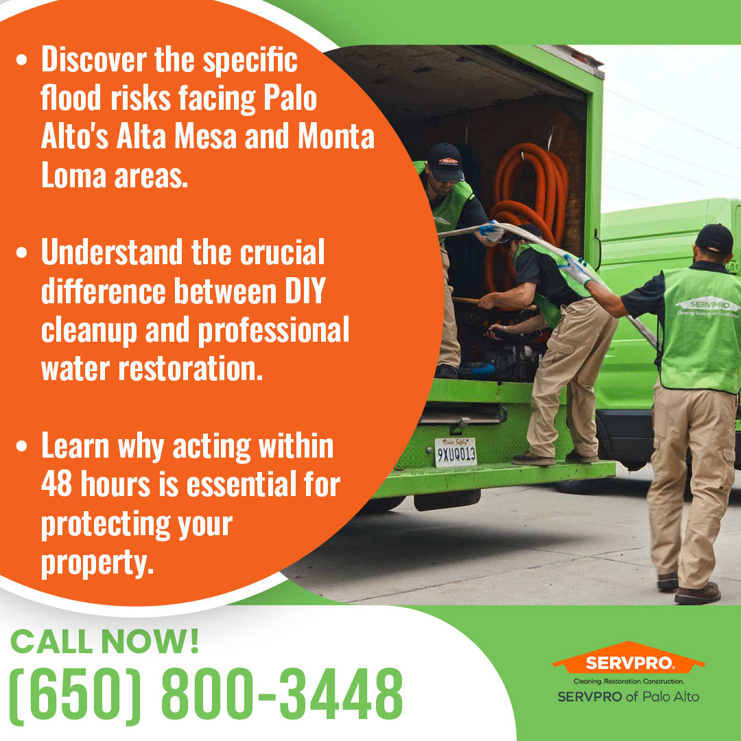 Professionals Loading Tools in the Vehicle