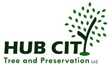 Tree Service Experts in Lafayette LA