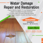 Servpro-Grapevine-Feb-(5).png