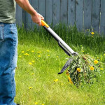 the-process-of-weed-removing-lawn-weed-removal-service-in-indianapolis-in-explained-ezgif.com-webp-to-jpg-converter.jpg