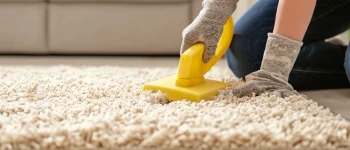 carpet