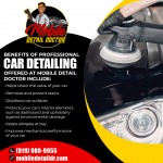 Mobile Detal Doctor Graphic 1 (5).png