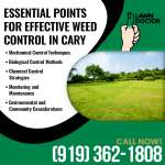 Lawn Doctor 2 (1).png