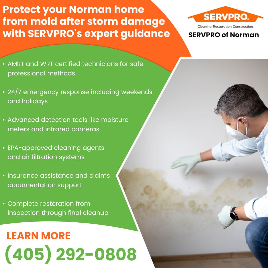 24 7 professional mold remediation