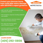 SERVPRO of Norman mold protection (1).jpg