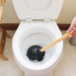 stopsufferingwithabackeduptoilet.jpg