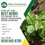 Arbot Enterprises 2 (1).jpg
