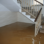 flood restoration.png
