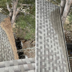 gutter cleaning Denver.jpeg
