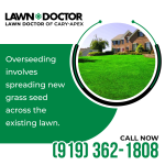 Lawn Doctor 2 (3).png