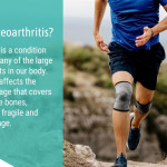 Physiotherapy Wodonga | Running and Osteoarthritis – Harmful or Helpful?