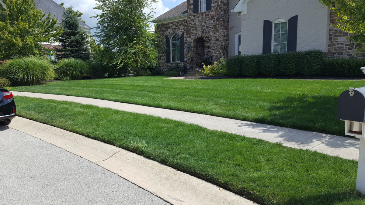 Spring Lawn Preparation Guide Released by Bee Green for Central Indiana