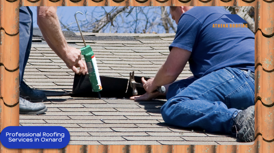 professional roofing services near me