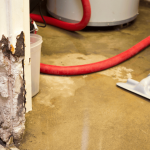 guide-to-water-damage-cleanup.png