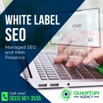 white label seo.jpg