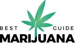 Best Marijuana Guide