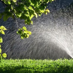 How Can Smart Irrigation Help Prevent Overwatering a New Lawn in Raleigh.jpg