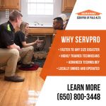 SERVPRO Palo Altro PR Image 3.png