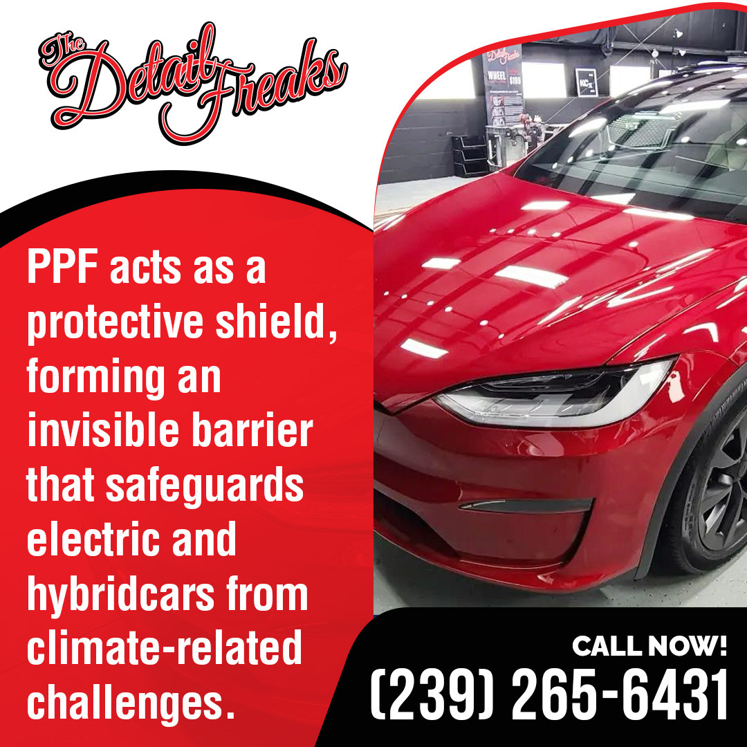 The Detail Freaks' PPF Expertise Protecting Fort Myers' Electric