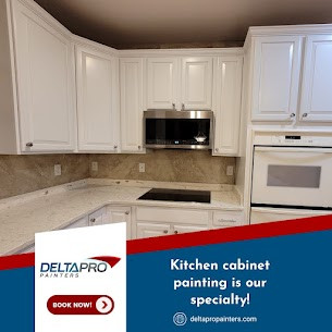 DeltaPro Painters