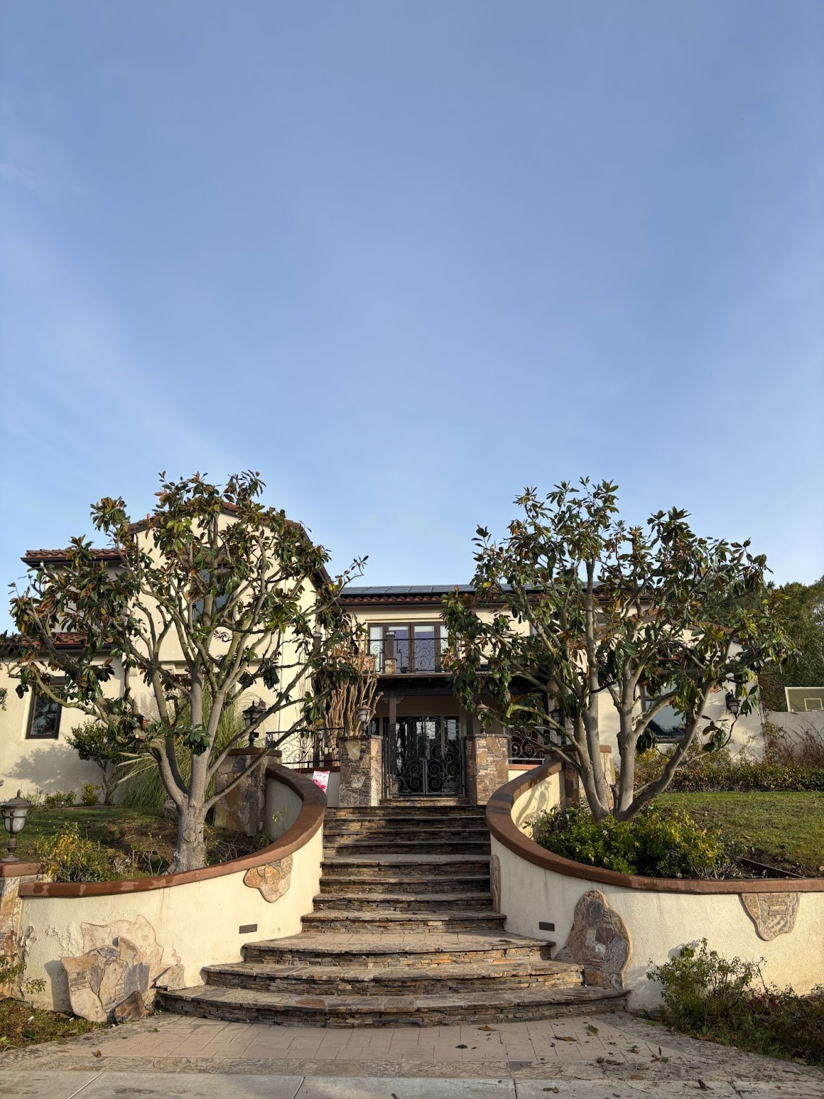 tree removal service Sylmar