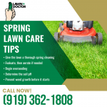 Lawn Doctor 1.png