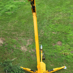 tree-boom-raised.png