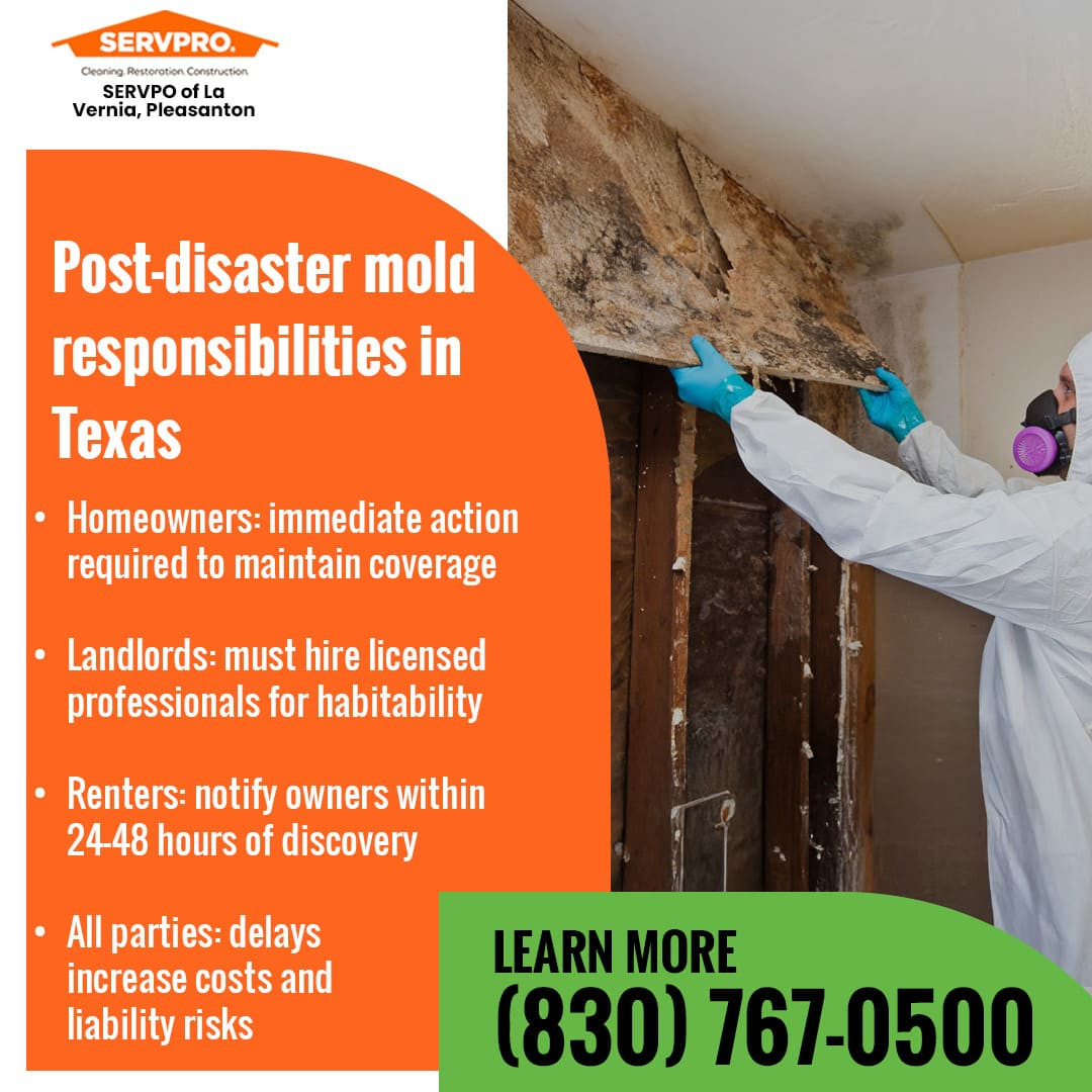 post-disaster mold responsibilities