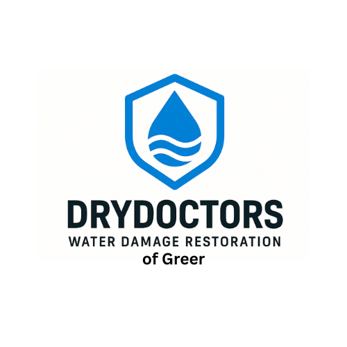 DryDoctors Water Restoration of Greer