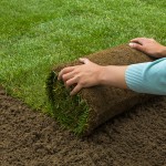 new sod installation.jpg