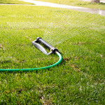 how often to water new sod.jpg