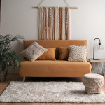 Mold-in-area-rug-blog-1280x853.jpg