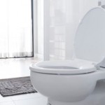 watersavingtoilets.jpg